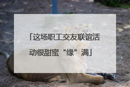这场职工交友联谊活动很甜蜜“缘”满