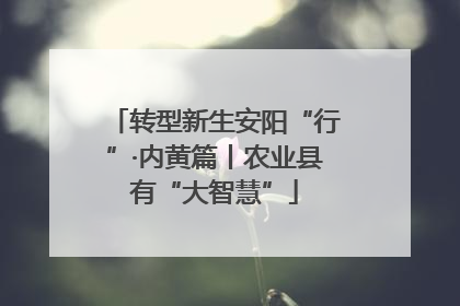 转型新生安阳“行”·内黄篇丨农业县有“大智慧”