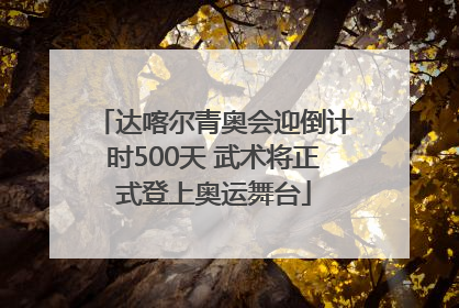 达喀尔青奥会迎倒计时500天 武术将正式登上奥运舞台