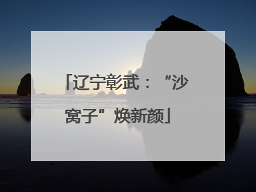 辽宁彰武：“沙窝子”焕新颜