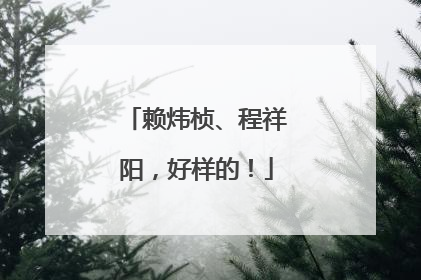 赖炜桢、程祥阳，好样的！