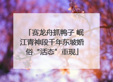 赛龙舟抓鸭子 岷江青神段千年东坡婚俗“活态”重现