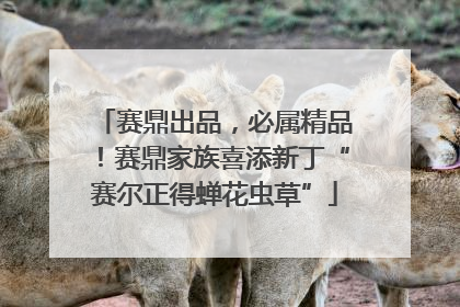 赛鼎出品，必属精品！赛鼎家族喜添新丁“赛尔正得蝉花虫草”
