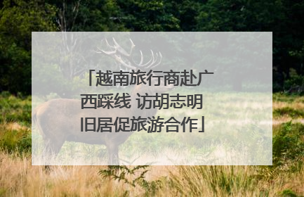 越南旅行商赴广西踩线 访胡志明旧居促旅游合作