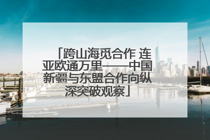 跨山海觅合作 连亚欧通万里——中国新疆与东盟合作向纵深突破观察