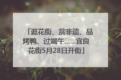 逛花街、赏非遗、品烤鸭、过端午……宜良花街5月28日开街