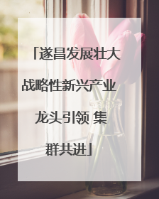 遂昌发展壮大战略性新兴产业 龙头引领 集群共进