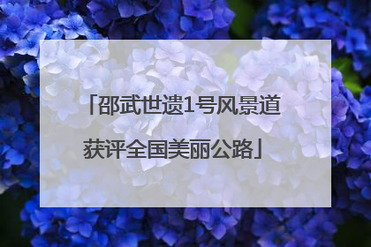 邵武世遗1号风景道获评全国美丽公路