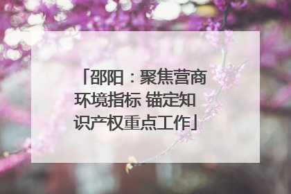 邵阳：聚焦营商环境指标 锚定知识产权重点工作