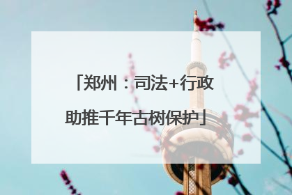 郑州：司法+行政助推千年古树保护