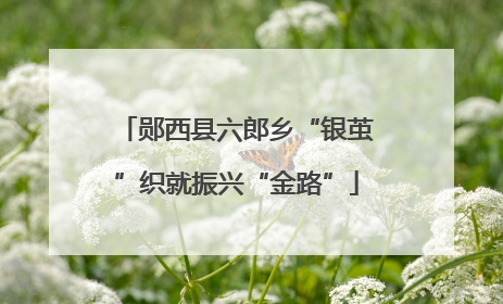 郧西县六郎乡“银茧”织就振兴“金路”