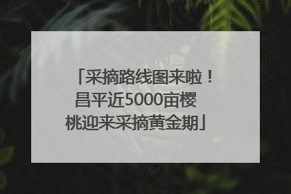 采摘路线图来啦！昌平近5000亩樱桃迎来采摘黄金期