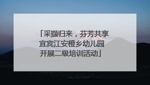 采撷归来，芬芳共享 宜宾江安橙乡幼儿园开展二级培训活动