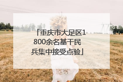 重庆市大足区1800余名基干民兵集中接受点验