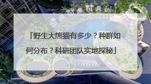 野生大熊猫有多少？种群如何分布？科研团队实地探秘