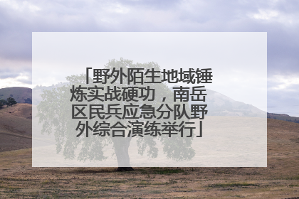 野外陌生地域锤炼实战硬功，南岳区民兵应急分队野外综合演练举行