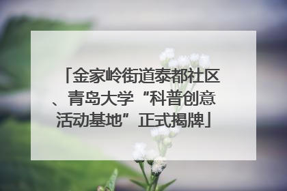 金家岭街道泰都社区、青岛大学“科普创意活动基地”正式揭牌