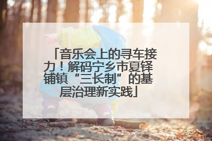 音乐会上的寻车接力！解码宁乡市夏铎铺镇“三长制”的基层治理新实践