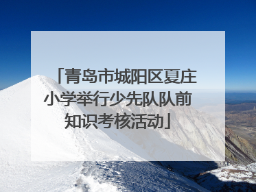 青岛市城阳区夏庄小学举行少先队队前知识考核活动