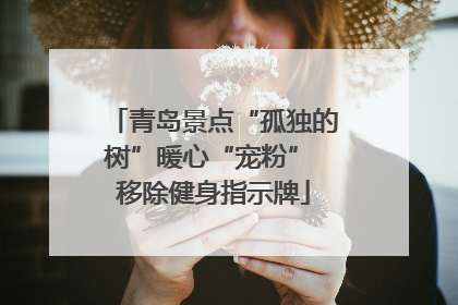 青岛景点“孤独的树”暖心“宠粉” 移除健身指示牌