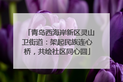 青岛西海岸新区灵山卫街道：架起民族连心桥，共绘社区同心圆