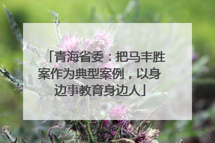 青海省委：把马丰胜案作为典型案例，以身边事教育身边人