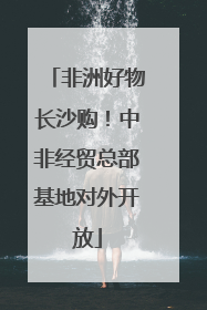 非洲好物长沙购！中非经贸总部基地对外开放