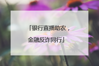 银行直播助农，金融反诈同行