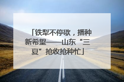 铁犁不停歇，播种新希望——山东“三夏”抢收抢种忙