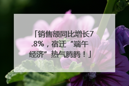 销售额同比增长7.8%，宿迁“端午经济”热气腾腾！