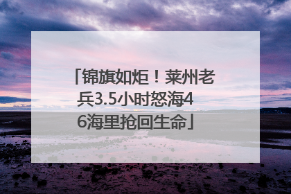 锦旗如炬！莱州老兵3.5小时怒海46海里抢回生命