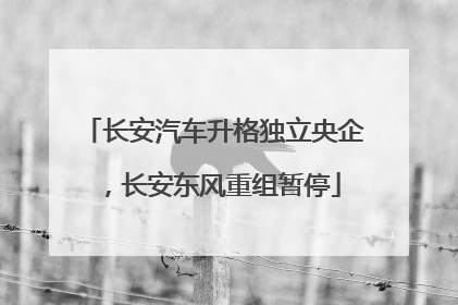 长安汽车升格独立央企，长安东风重组暂停
