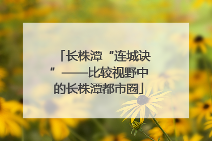 长株潭“连城诀”——比较视野中的长株潭都市圈