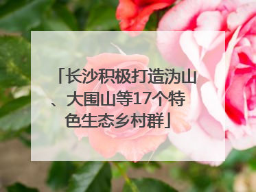 长沙积极打造沩山、大围山等17个特色生态乡村群