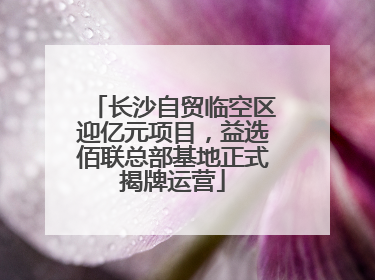 长沙自贸临空区迎亿元项目，益选佰联总部基地正式揭牌运营