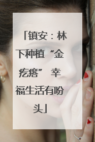 镇安：林下种植“金疙瘩” 幸福生活有盼头