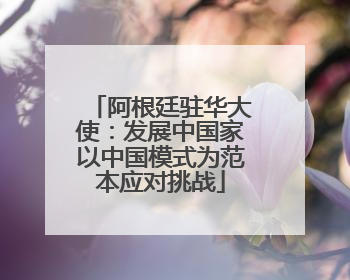 阿根廷驻华大使：发展中国家以中国模式为范本应对挑战