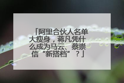 阿里合伙人名单大瘦身，蒋凡凭什么成为马云、蔡崇信“新搭档”？