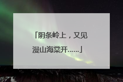 阴条岭上，又见漫山海棠开……
