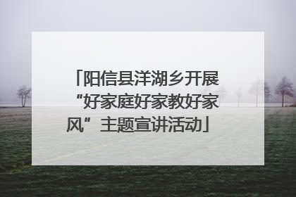 阳信县洋湖乡开展“好家庭好家教好家风”主题宣讲活动