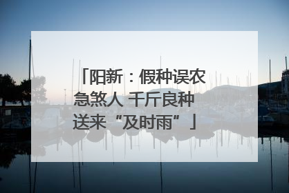 阳新：假种误农急煞人 千斤良种送来“及时雨”