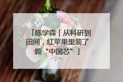 陈学森｜从科研到田间，红苹果里装了颗“中国芯”