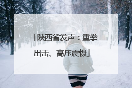 陕西省发声：重拳出击、高压震慑