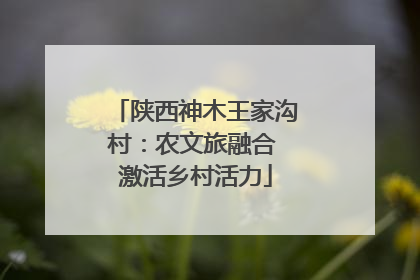 陕西神木王家沟村：农文旅融合 激活乡村活力