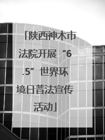 陕西神木市法院开展“6.5”世界环境日普法宣传活动