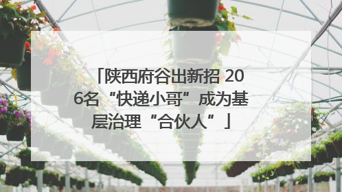 陕西府谷出新招 206名“快递小哥”成为基层治理“合伙人”