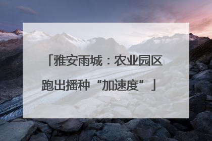 雅安雨城：农业园区跑出播种“加速度”