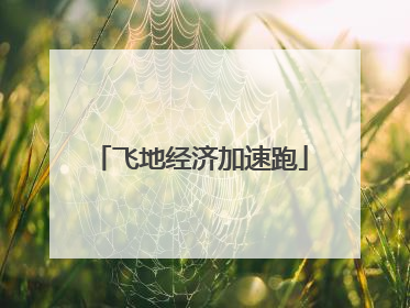 飞地经济加速跑