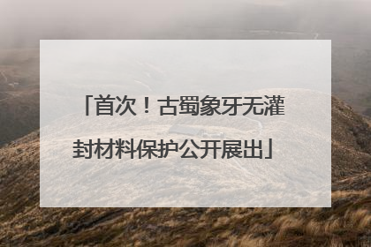 首次！古蜀象牙无灌封材料保护公开展出
