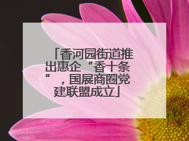 香河园街道推出惠企“香十条”，国展商圈党建联盟成立
